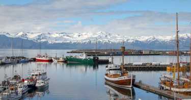 Lautta Hirtshals Islanti - Halvat laivaliput
